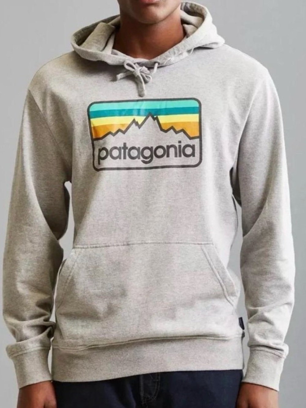 Patagonia Uprisal Feather Gray Mountain Graphic Spell out Hooded Sweatshirt